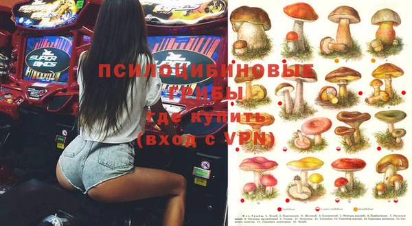 apvp Балахна