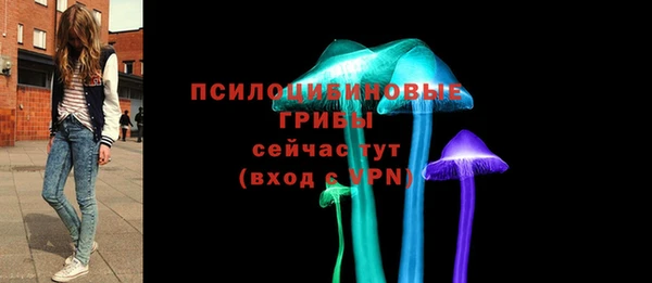 apvp Балахна