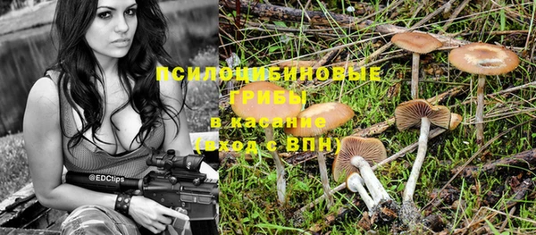 PSILOCYBIN Баксан
