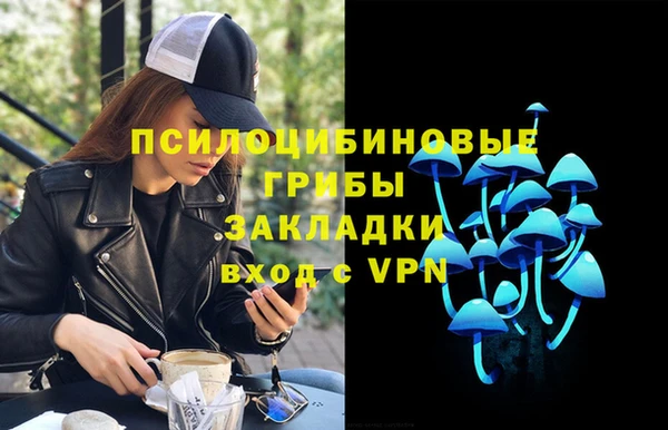 PSILOCYBIN Баксан